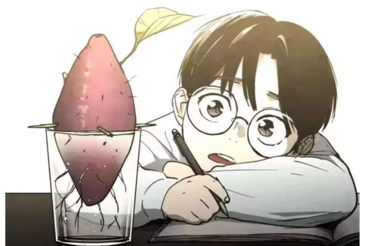 สปอยล์ Fog Land Manhwa ตอนที่ 30 ฉบับภาษาไทย, แรงดึงในการติดตั้ง