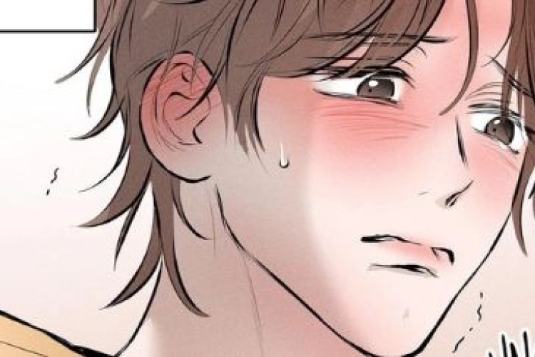 ลิงก์อ่าน Nice to See You มังฮวา BL แปลไทยถูกลิขสิทธิ์ อัปเดตตอนล่าสุดบนแพลตฟอร์มออนไลน์