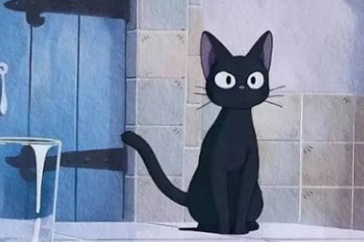 เตรียมตัวให้พร้อมเหล่าแฟนคลับ Ghibli! Studio Ghibli เปิดตัวชุดเครื่องครัวธีม 'Jiji' สไตล์เรโทรจากเรื่อง Kiki's Delivery Service