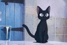 เตรียมตัวให้พร้อมเหล่าแฟนคลับ Ghibli! Studio Ghibli เปิดตัวชุดเครื่องครัวธีม 'Jiji' สไตล์เรโทรจากเรื่อง Kiki's Delivery Service